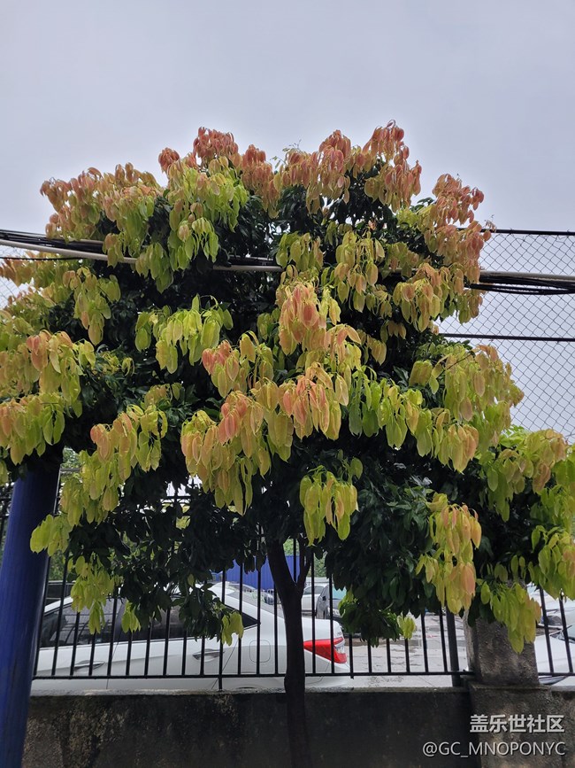 【打卡精彩生活】隨手一拍