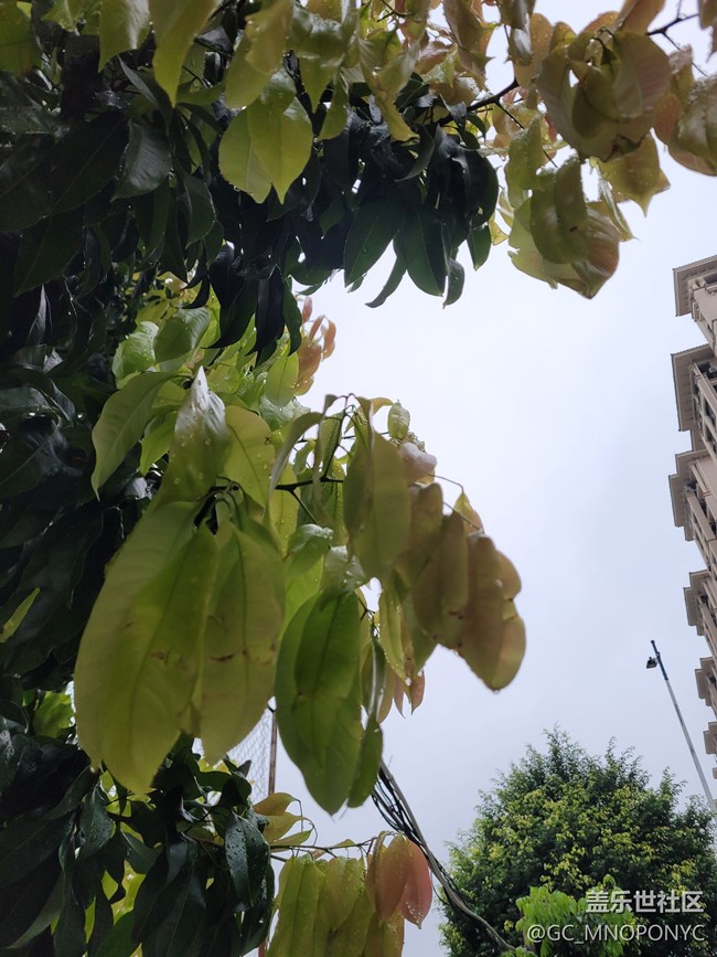 【打卡精彩生活】隨手一拍