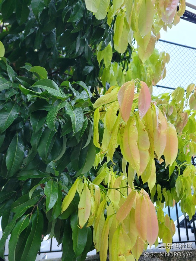 【打卡精彩生活】隨手一拍