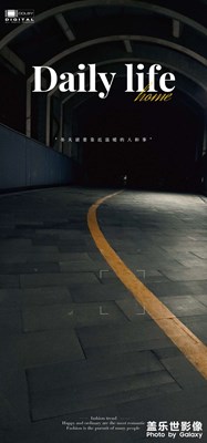 冬日里的隨拍