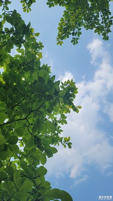 六月的植物園-2