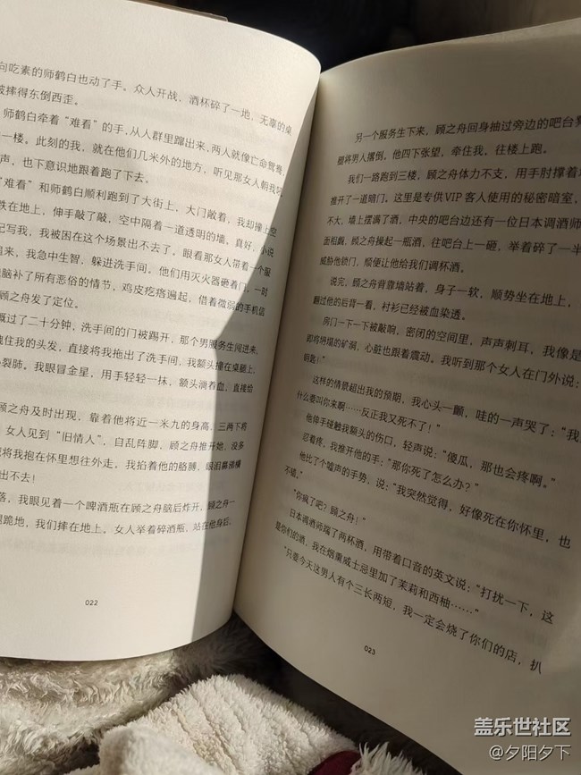 【打卡精彩生活】美好的下午