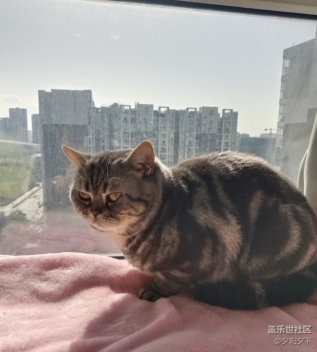 【打卡精彩生活】美好的下午