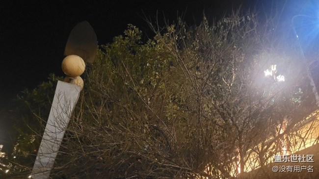 #冬日色彩——梅花開