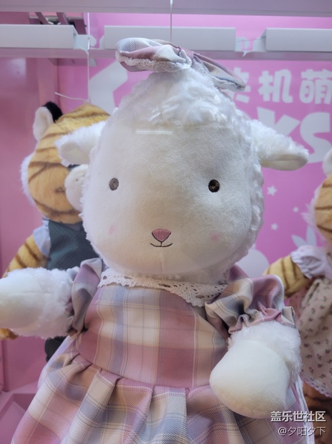 【打卡精彩生活】娃娃機