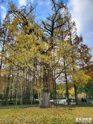 【光影記憶】＋冬日美景