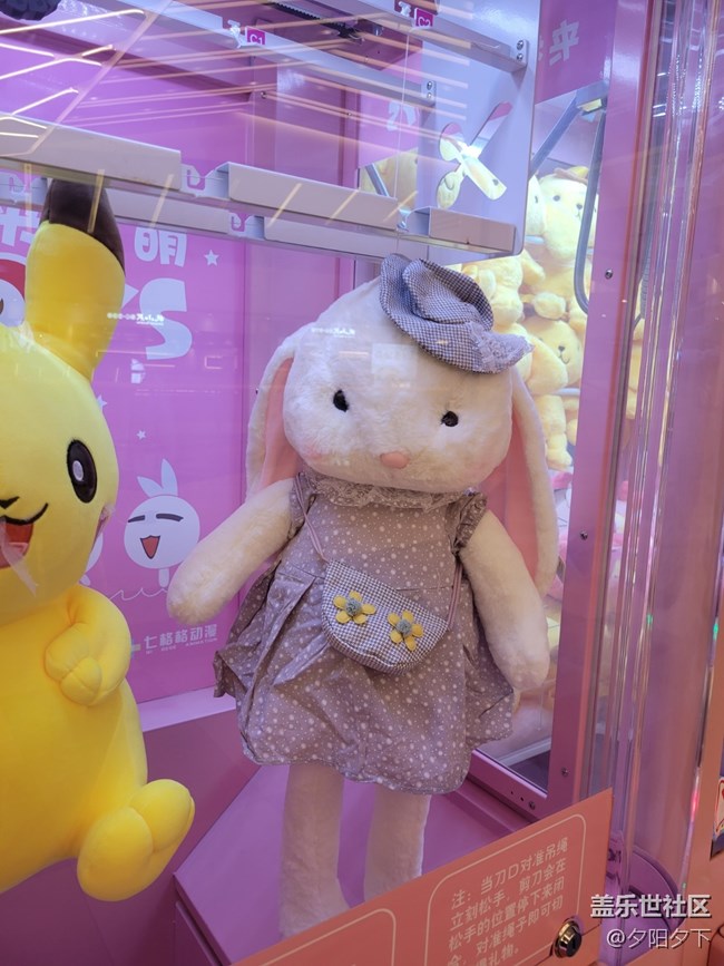 【打卡精彩生活】娃娃機