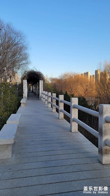 陽(yáng)光正好放個(gè)風(fēng)