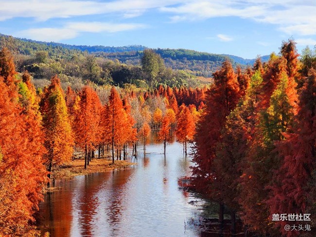 《每周星鮮事》 第129期: 《每周星鮮事》 第129期: