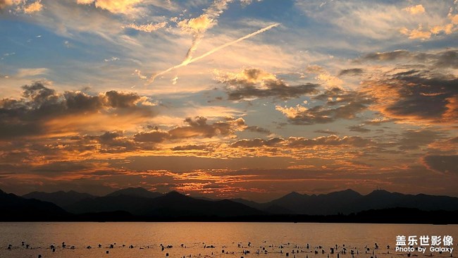 《每周星鮮事》 第129期: 《每周星鮮事》 第129期: