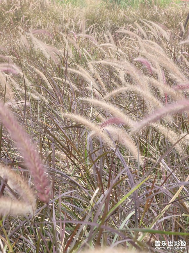 《每周星鮮事》 第129期: 《每周星鮮事》 第129期: