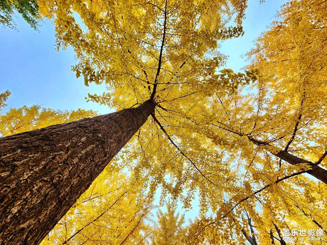 《每周星鮮事》 第129期: 《每周星鮮事》 第129期: