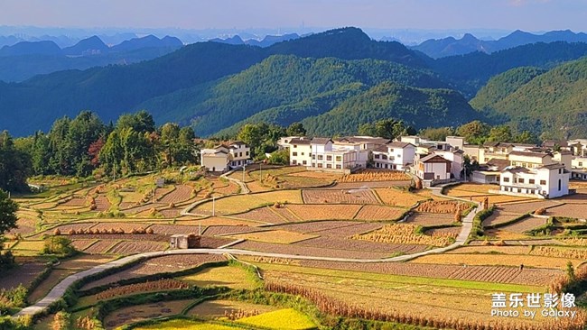 《每周星鮮事》 第129期: 《每周星鮮事》 第129期: