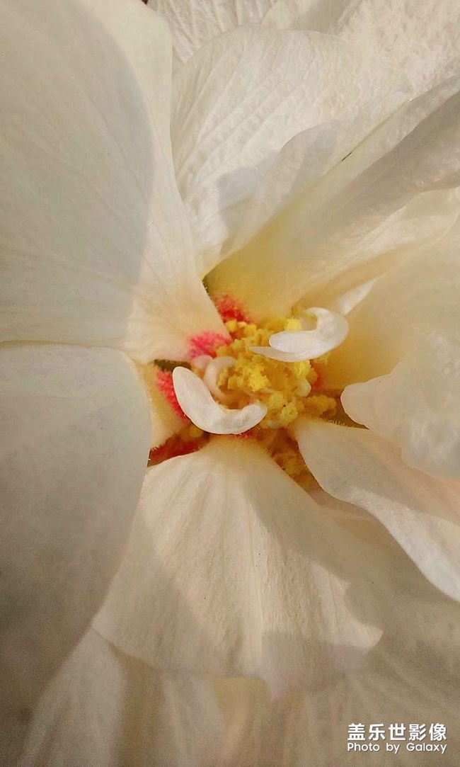 《每周星鮮事》 第129期: 《每周星鮮事》 第129期: