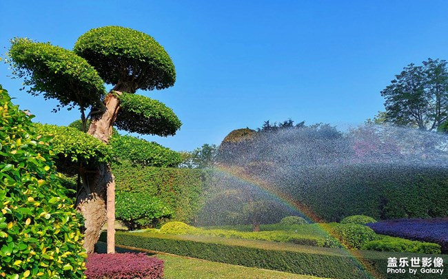 《每周星鮮事》 第129期: 《每周星鮮事》 第129期: