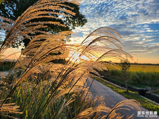 《每周星鮮事》 第129期: 《每周星鮮事》 第129期: