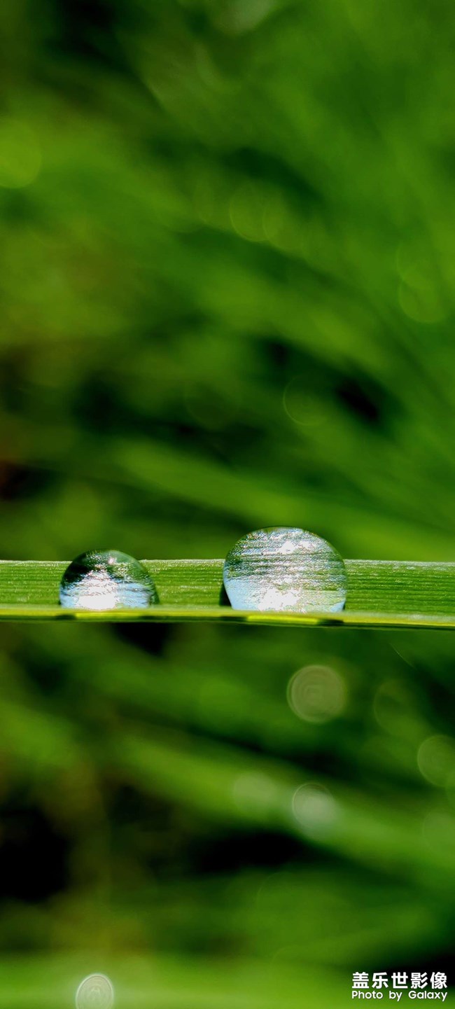 《每周星鮮事》 第129期: 《每周星鮮事》 第129期: