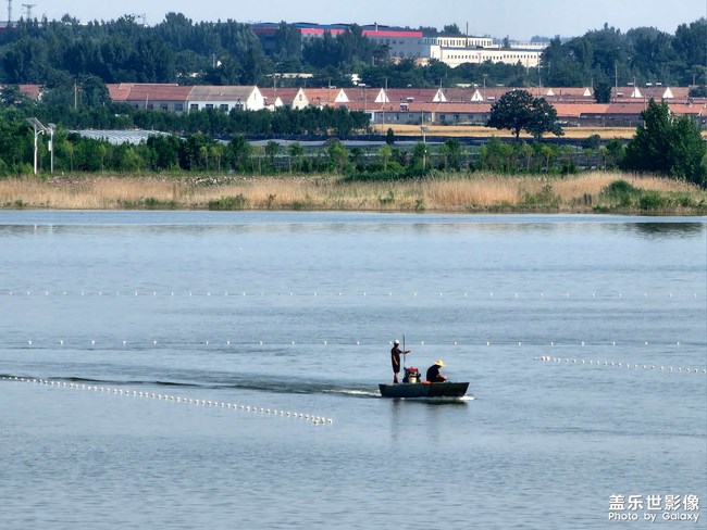 《每周星鮮事》 第129期: 《每周星鮮事》 第129期: