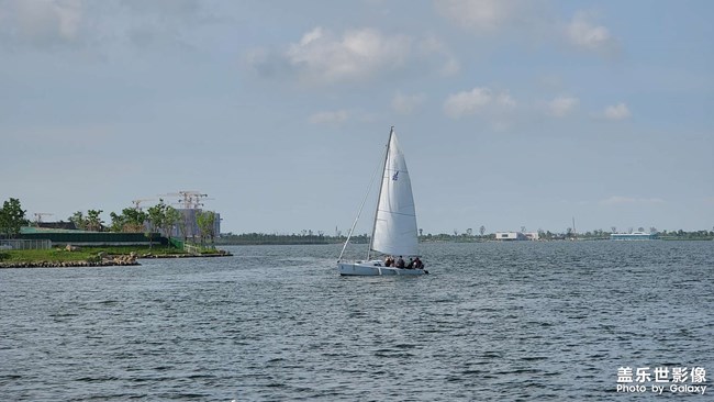 《每周星鮮事》 第129期: 《每周星鮮事》 第129期: