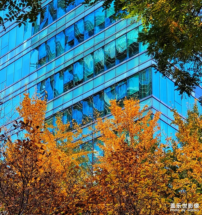 《每周星鮮事》 第129期: 《每周星鮮事》 第129期: