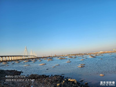 珠海橫琴濱海濕地公園