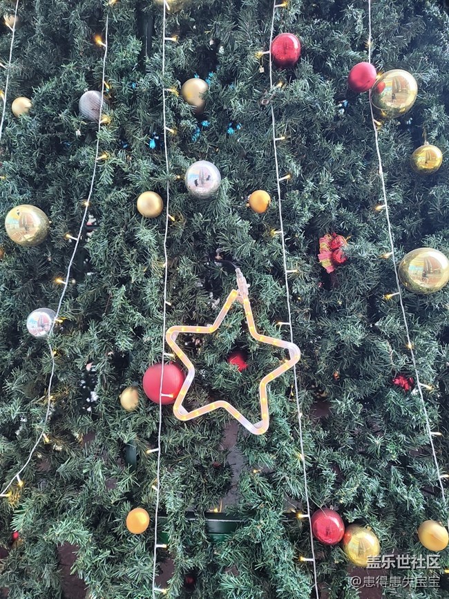 #冬日色彩——圣誕樹