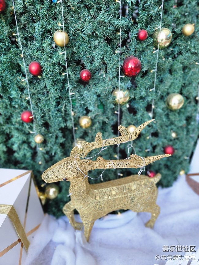 #冬日色彩——圣誕樹