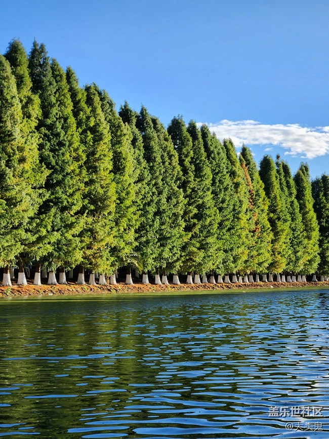 【美好的一年】所有的美好歲月