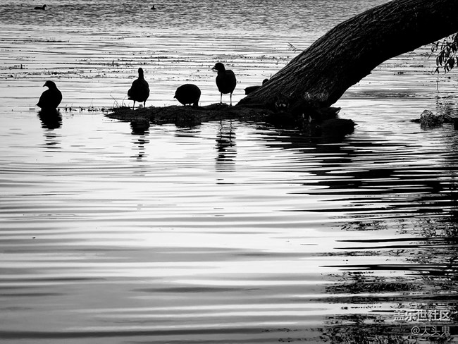 【美好的一年】所有的美好歲月