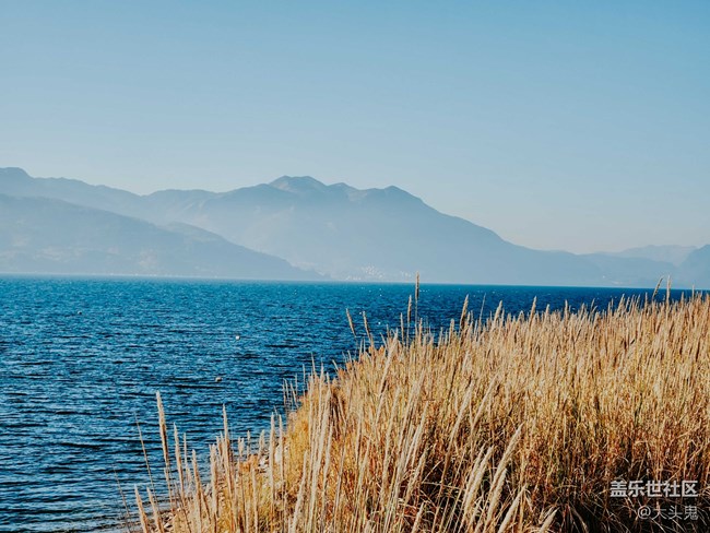 【美好的一年】所有的美好歲月