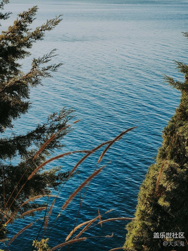 【美好的一年】所有的美好歲月