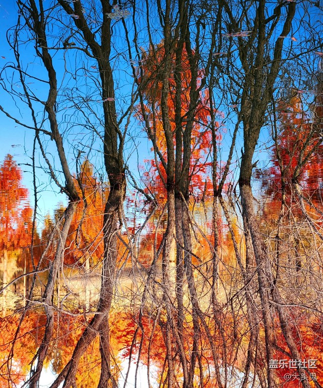 【美好的一年】所有的美好歲月