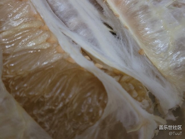 【美食美味】+柚子