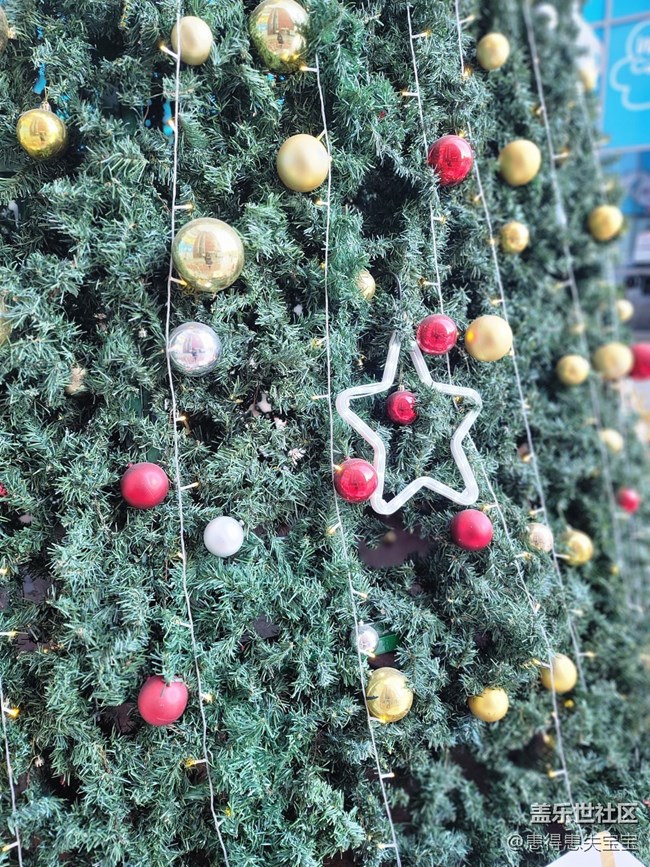 #冬日色彩——圣誕樹