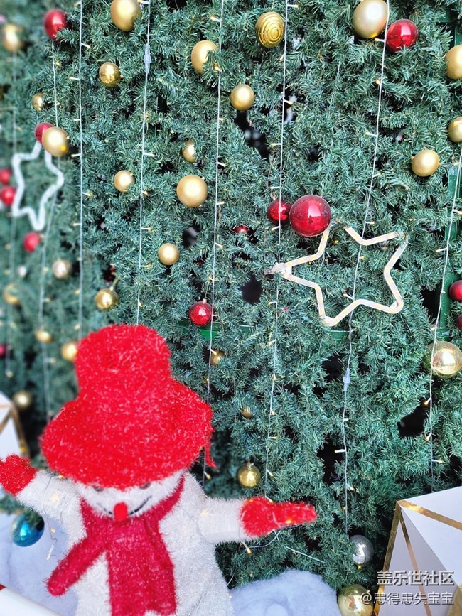 #冬日色彩——圣誕樹
