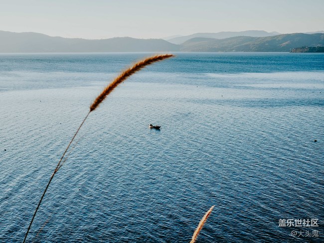 【美好的一年】所有的美好歲月