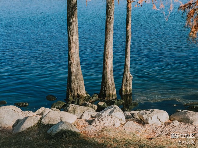 【美好的一年】所有的美好歲月