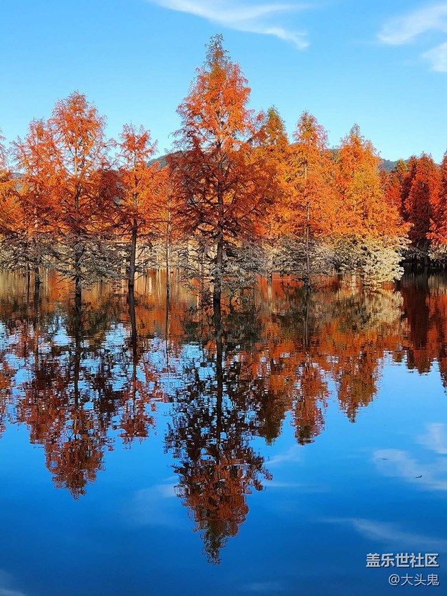 【美好的一年】所有的美好歲月