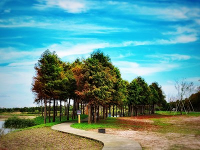 【難忘2022】+近郊游