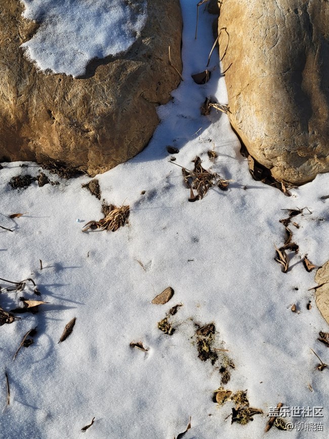 冬日暖陽+雪地上的大石頭