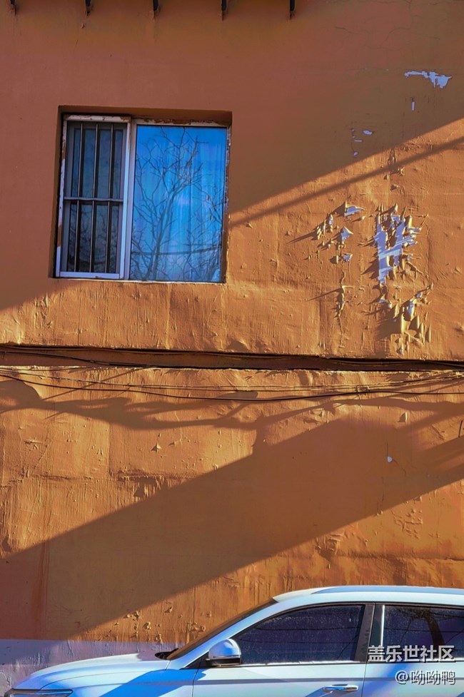 【冬日暖陽】小區(qū)里的暖陽