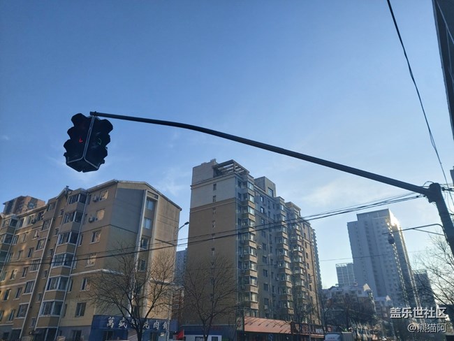 【冬日暖陽】禿樹也溫暖