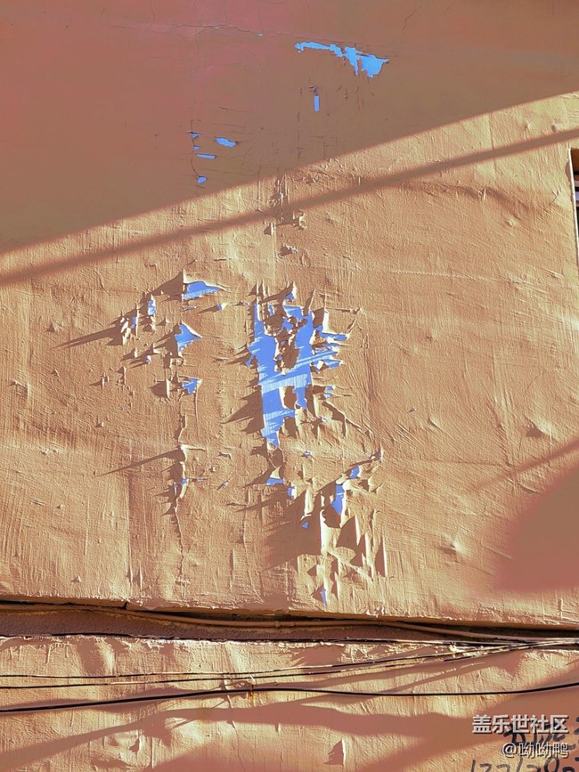 【冬日暖陽】小區(qū)里的暖陽