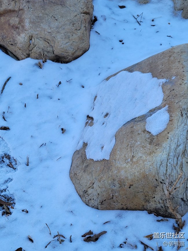 冬日暖陽+雪地上的大石頭