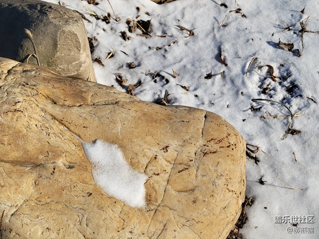 冬日暖陽+雪地上的大石頭