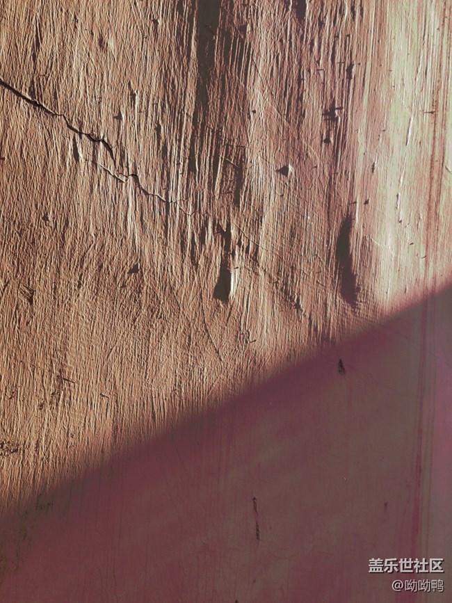 【冬日暖陽】小區(qū)里的暖陽