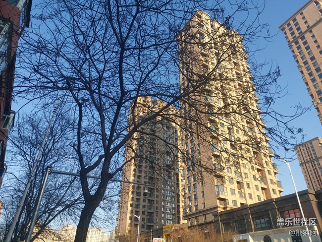 【冬日暖陽】禿樹也溫暖