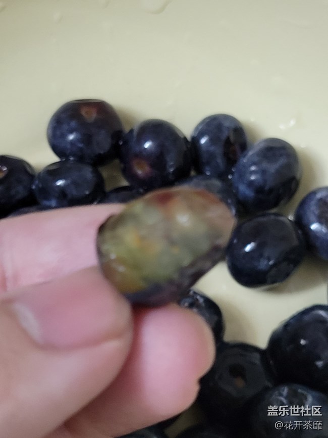 【打卡精彩生活】吃藍莓