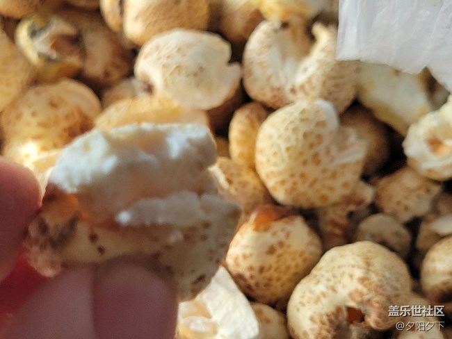 【打卡精彩生活】爆米花