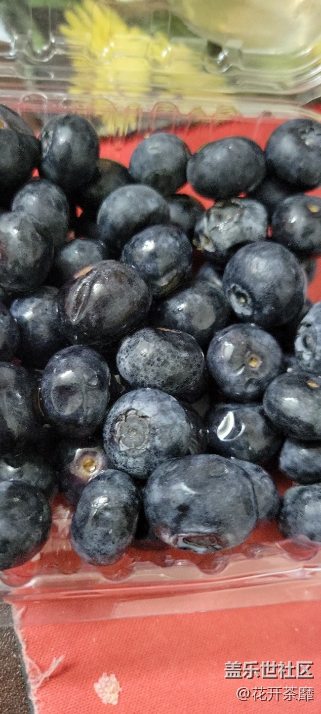 【打卡精彩生活】吃藍莓